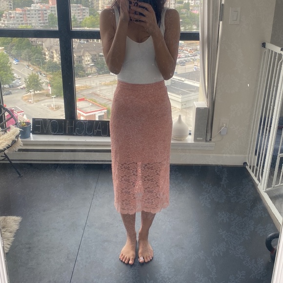 Aritzia Babaton pink lace midi skirt - Picture 10 of 12